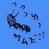 青ワタ