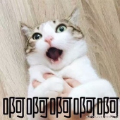 尹一心