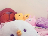 Shin杏杏