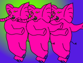 MrD
