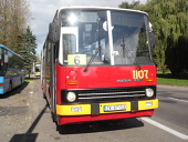 maciek2173