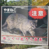 ちひろ