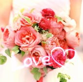 Love♡