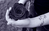 bloody rose