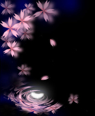 sakura-nanoha