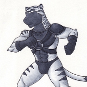 radar-tiger77