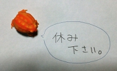 蛙(かわず)