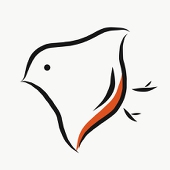 ちぃ