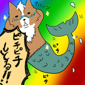 半魚犬