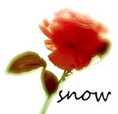 snow