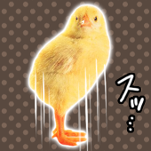 小山田(企画用)