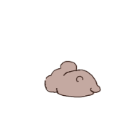 の