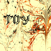 toy