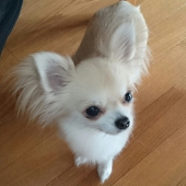 犬飼雫２/８西４I26b