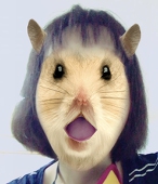 淮山鱼