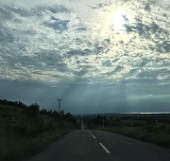 はなきう
