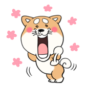 黒井Tom