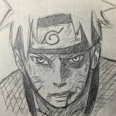 natura.draw