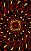 金華