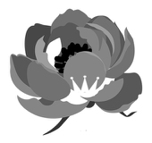 こうり