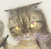 邬葱