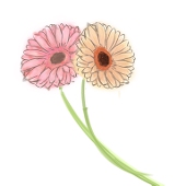 悠沙
