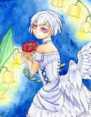 菜緒