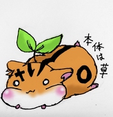 無月彩葉