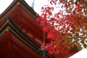 木下