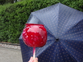 りんご雨