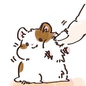 毒术。