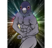 ハト水