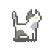 灰色猫