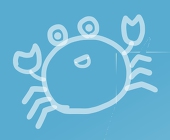 朱