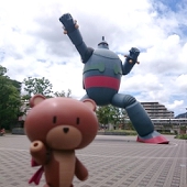 木の虚
