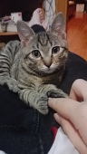 AVOCADO_chun