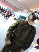 四十三号制衣厂