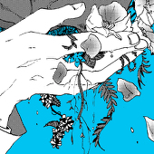 たずな