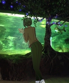 蛍