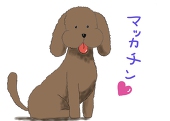vivi