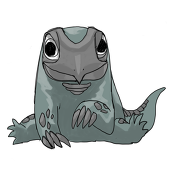 眼亀