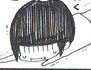 きのこ けい子