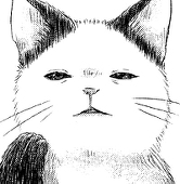 くぼたまこ