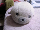 みひろ