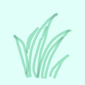 ym