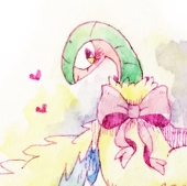 こぐま 🌺