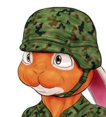 兎登坂