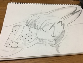 左右p