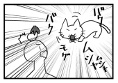 なすこん