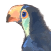 mipi